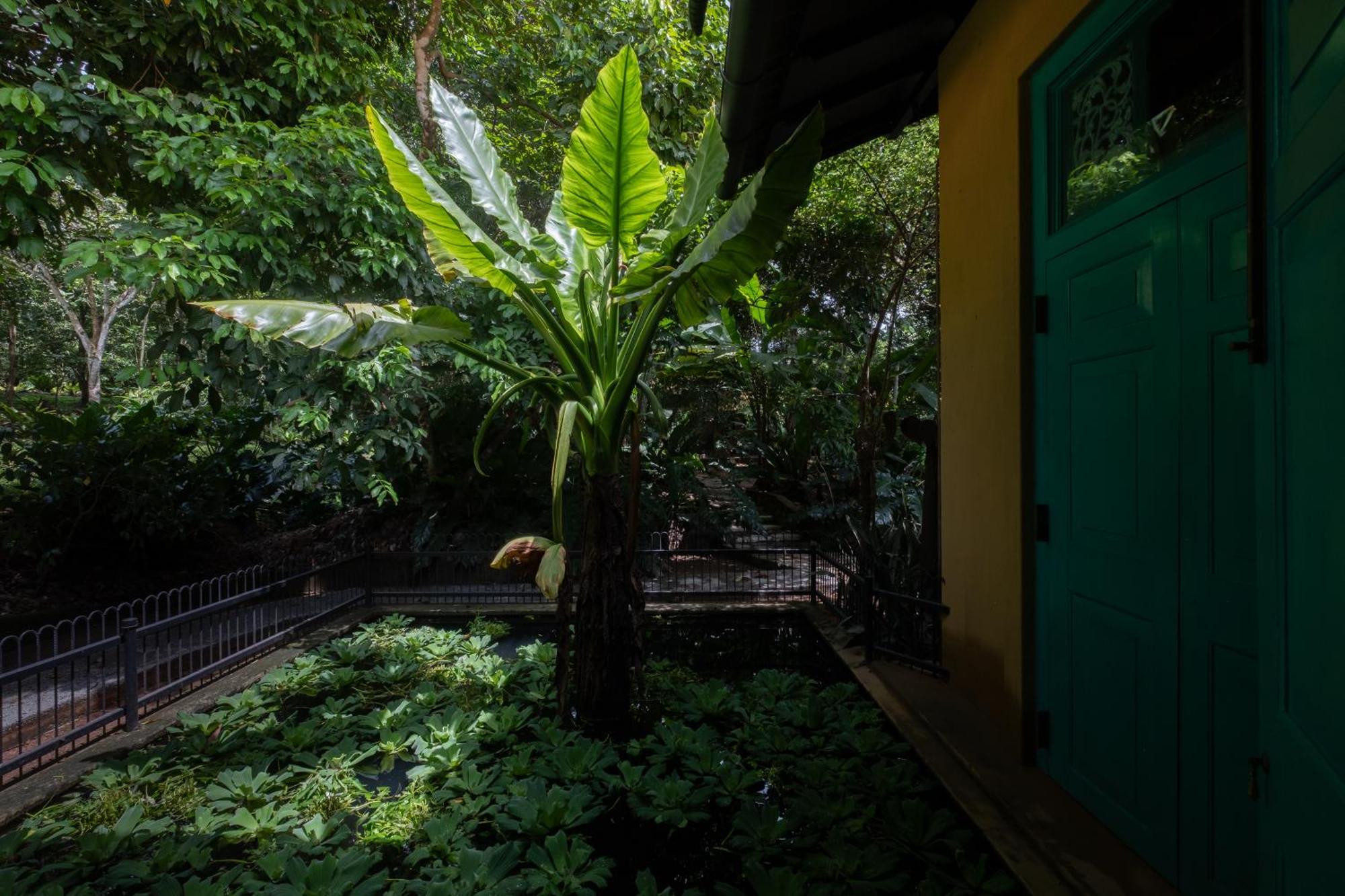 Casa Heliconia Hotell Gampaha Eksteriør bilde